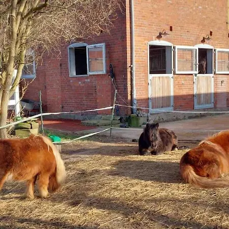 Lejlighed Kuschelige Auf Reiterhof