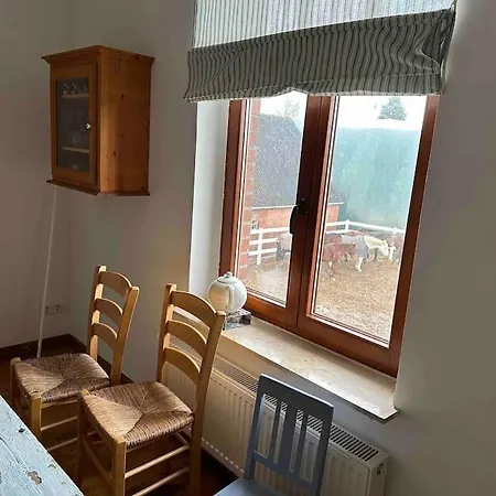 Kuschelige Auf Reiterhof Poggensee