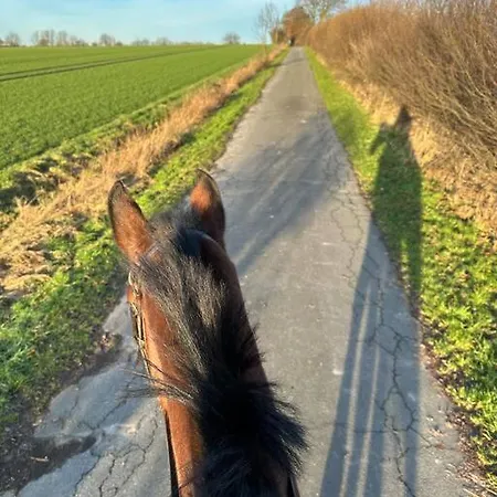 Kuschelige Auf Reiterhof