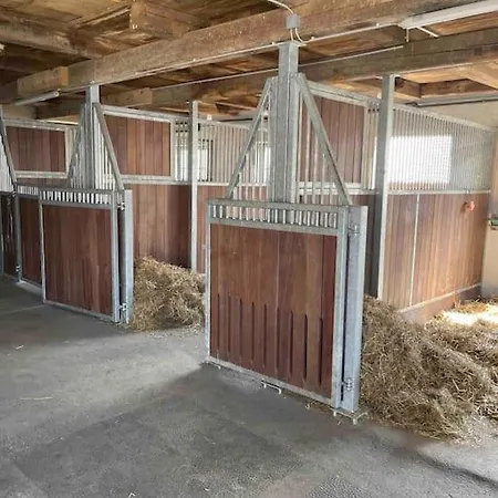 Lejlighed Kuschelige Auf Reiterhof